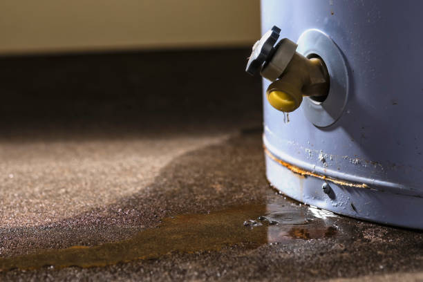 Best Water damage restoration process  in White Oak, OH