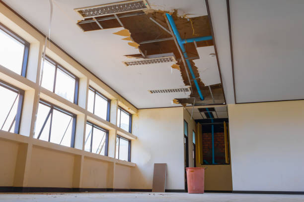 Best Flood restoration services  in White Oak, OH