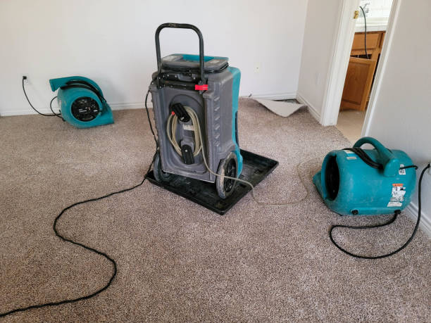 Best Fire Damage Restoration  in White Oak, OH