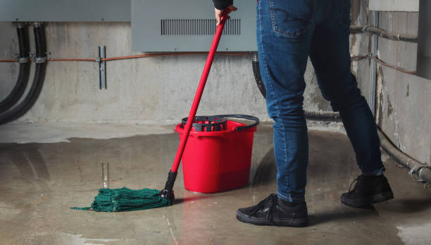 Best Water damage mitigation services  in White Oak, OH