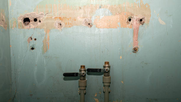 Best Water damage restoration near me  in White Oak, OH
