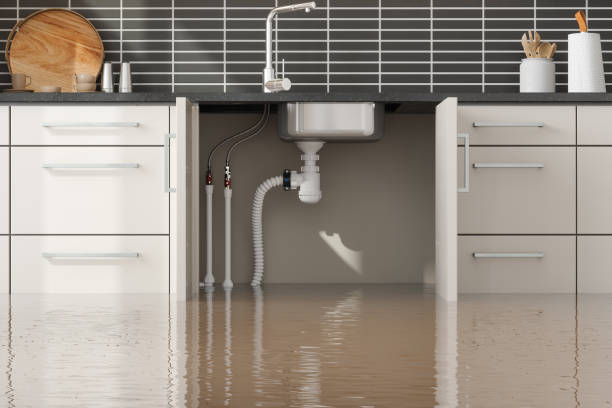 Best Water damage cleanup near me  in White Oak, OH
