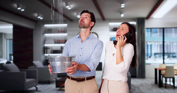 Best Residential water damage restoration  in White Oak, OH