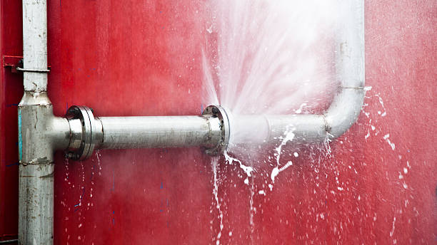 Best Professional water damage repair  in White Oak, OH